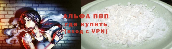 шишки Верея