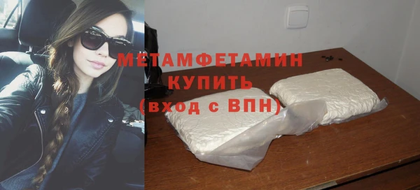 шишки Верея