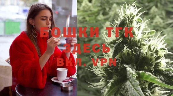 шишки Верея