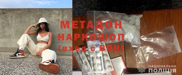 шишки Верея