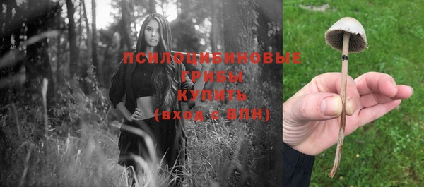 хмурый Бронницы