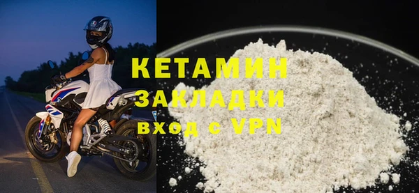 шишки Верея