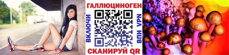 где продают наркотики Ростов Галлюциногенные грибы GOLDEN TEACHER